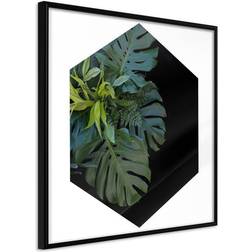 Arkiio Affisch Plant Hexagon (Square) [Poster] 20x20 Poster